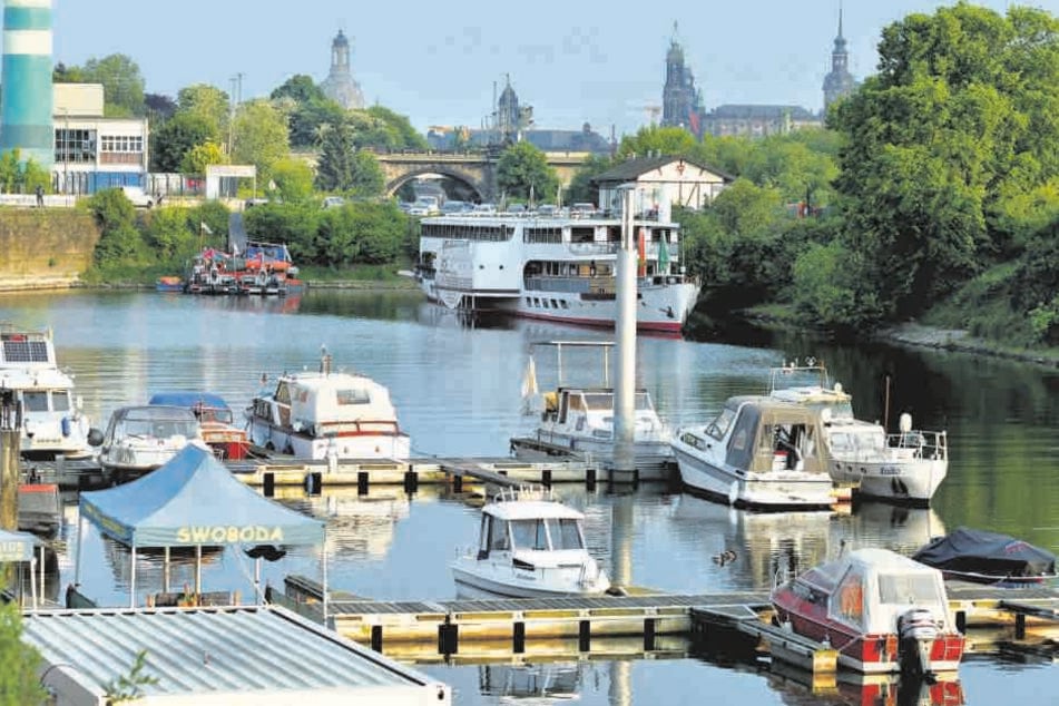 Boote-Boom auf der Elbe: In Deutschland braucht man heute zum Führen von Motorbooten mit bis zu 15 PS Antriebsleistung keinen Boots-Führerschein.