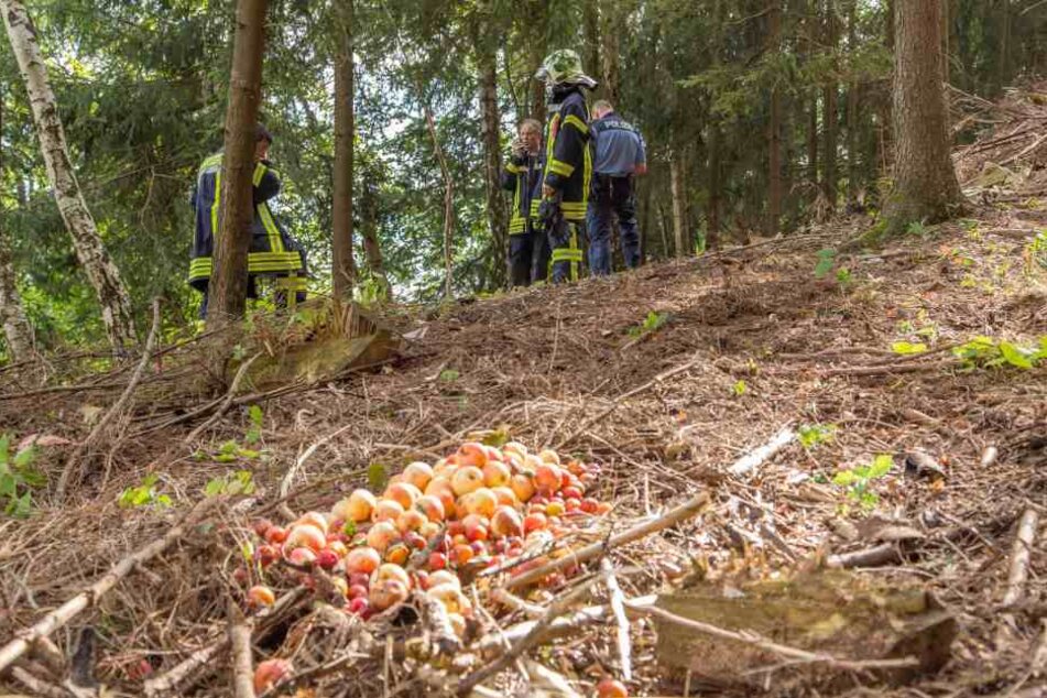 Der Jäger wollte an einer abschüssigen Strecke Futter für Wildtiere auslegen und rutschte dabei aus.