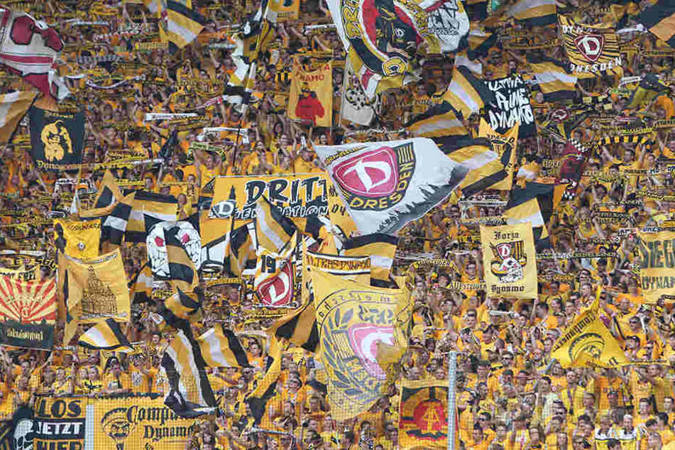 Die Fans von Dynamo Dresden werden im Spiel gegen Bielefeld alles geben.