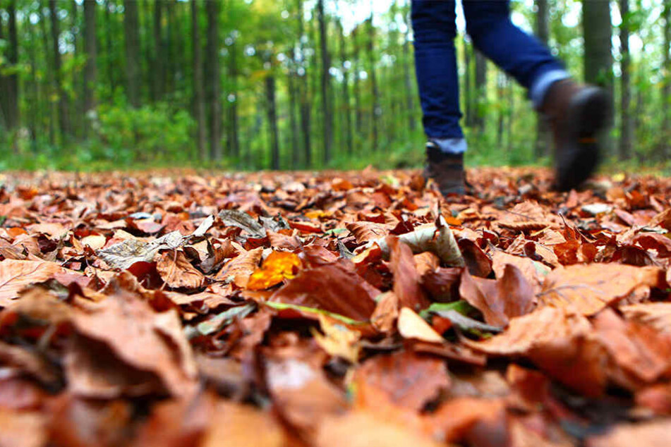 Der Jogger trug auch einen Schlüsselbund bei sich. (Symbolbild)