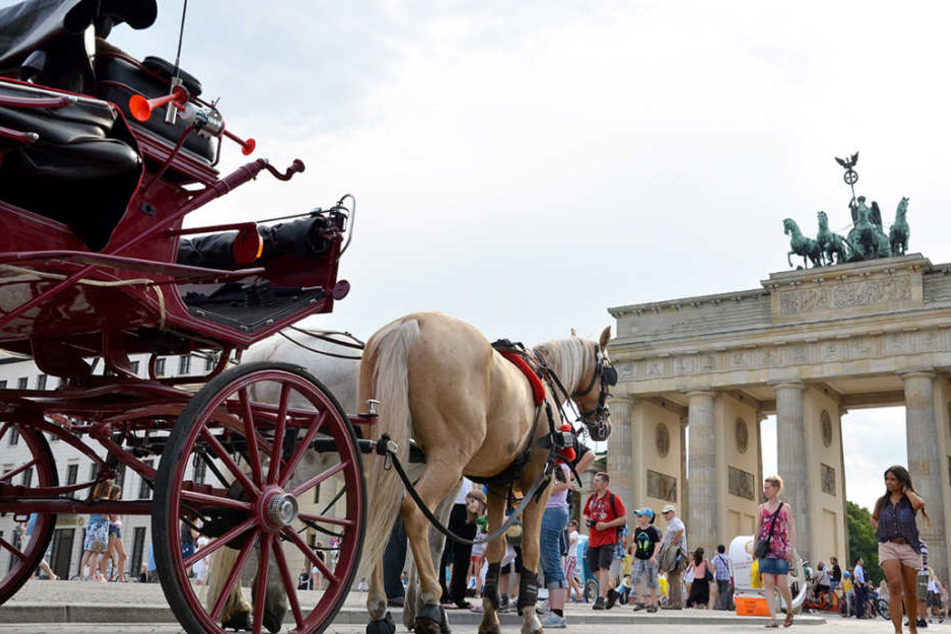 Bald Geschichte: Eine Pferdekutsche am Brandenburger Tor.