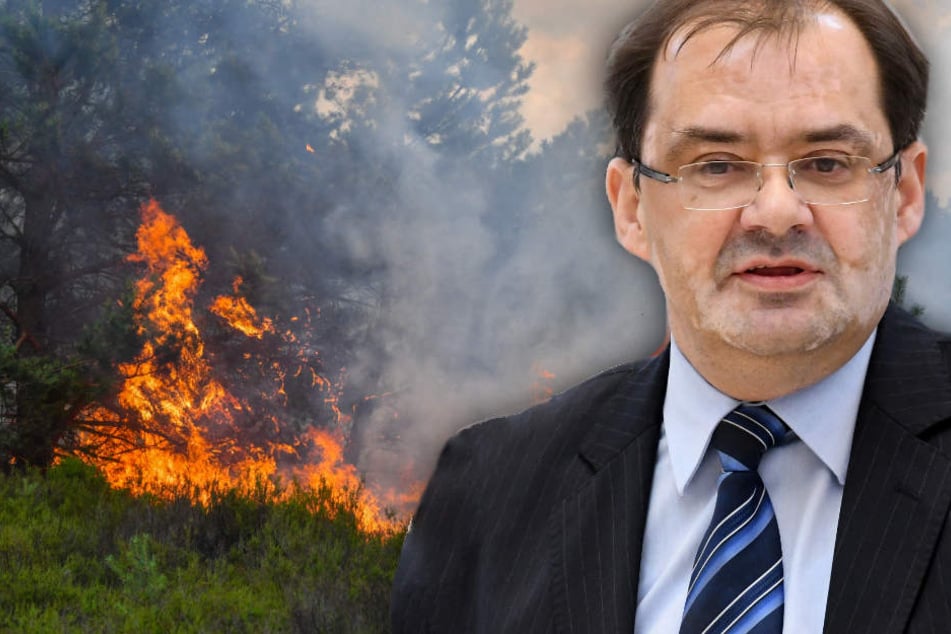 Für Brandenburg war es ein intensives Waldbrandjahr. (Bildmontage)