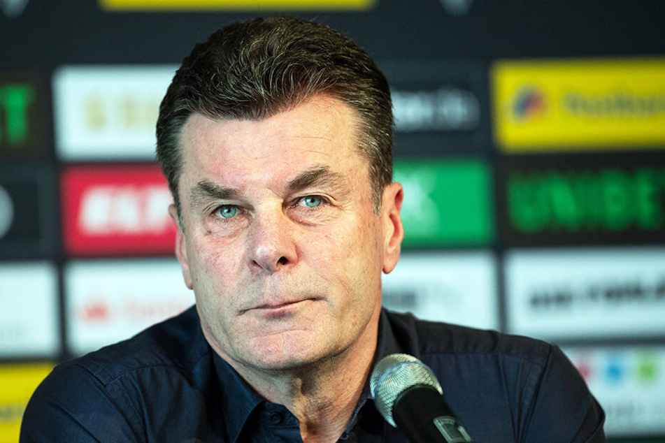 Für Dieter Hecking wurde mit Marco Rose der erwartete Nachfolger gefunden.