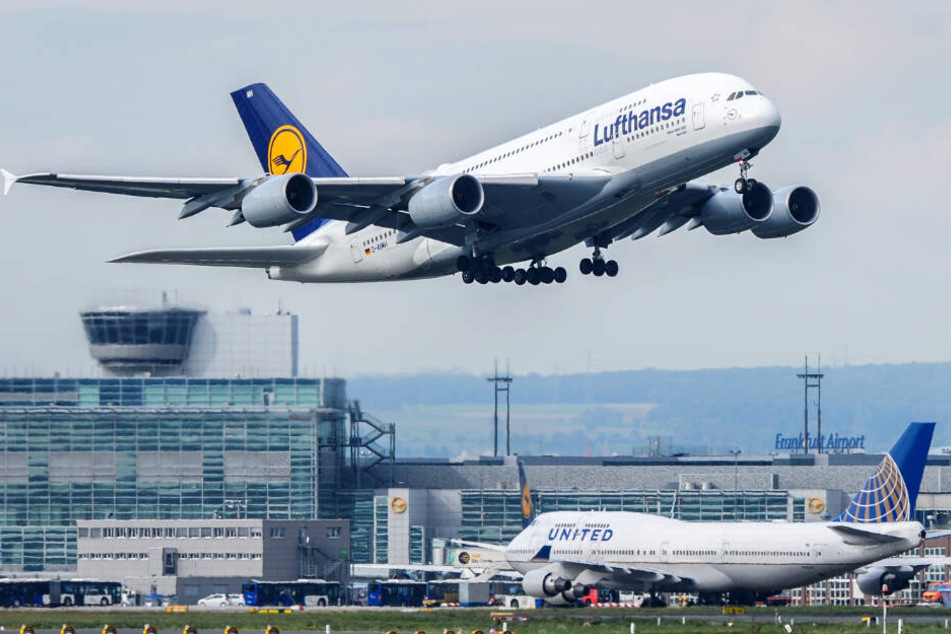 Nach einer knappen Stunde wurde der Flugbetrieb wieder aufgenommen (Symbolbild).