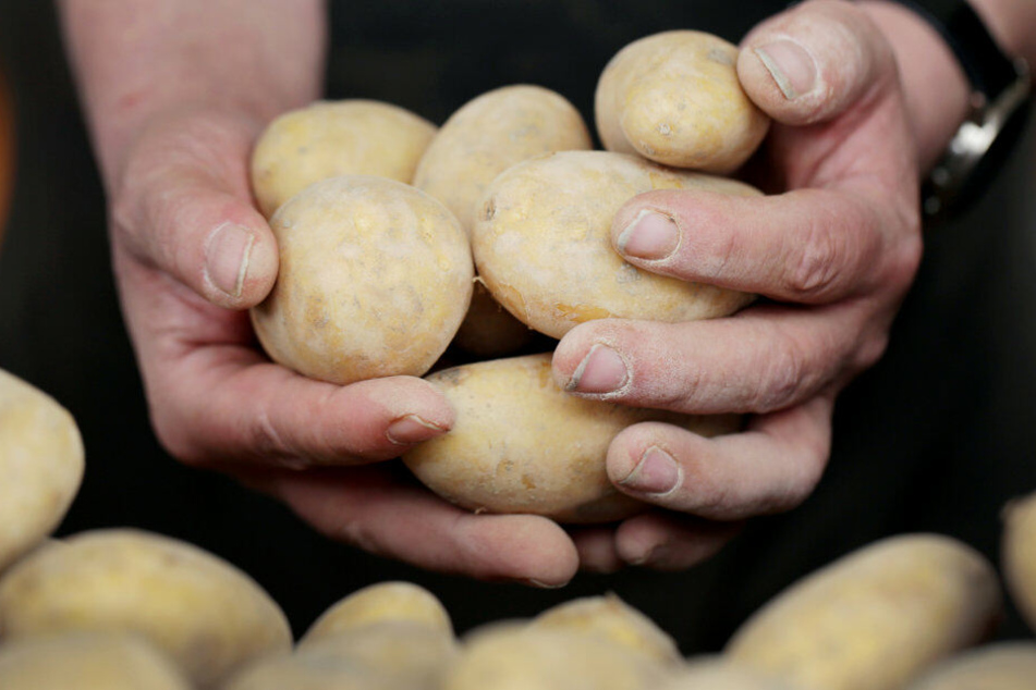 Die Kartoffelpreise sind deutlich angestiegen.