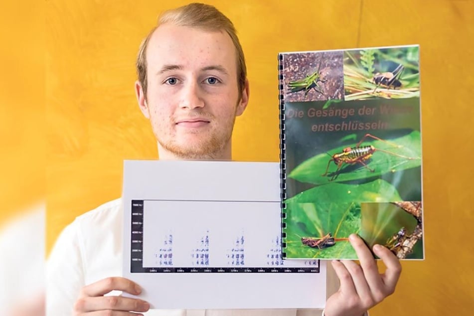 Der aktuelle Landessieger von "Jugend forscht", Falco Eigner (18), hat die Sprache der Heuschrecken erforscht.