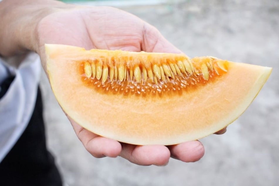 Die Betroffenen hatten alle eine Melone vor ihrem Tod gegessen.