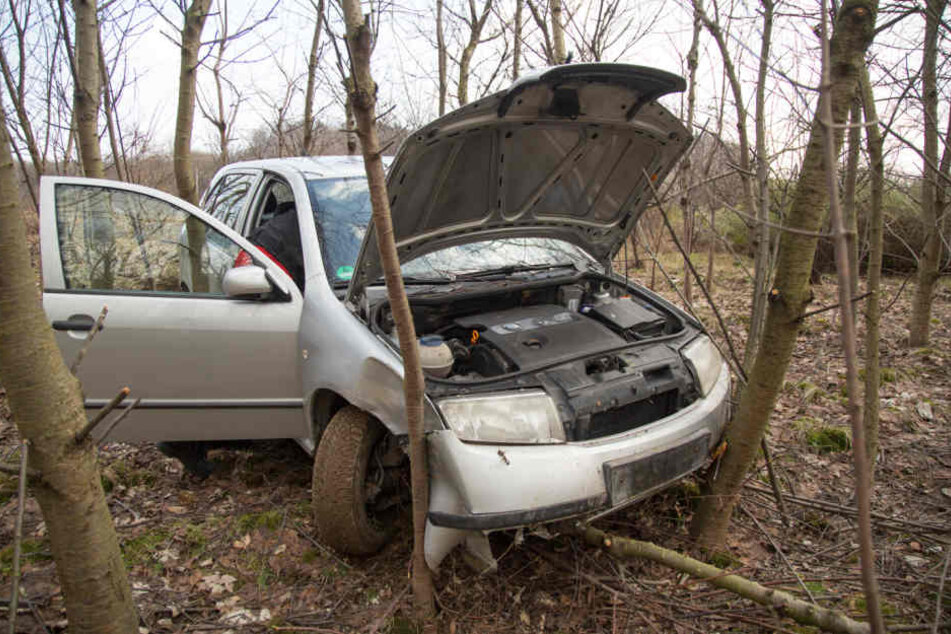 Der Skoda blieb nach seinem "Abschuss" in dem Wald liegen.