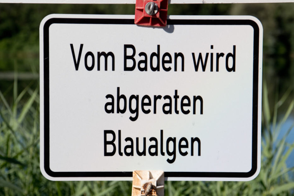Auch am "Bagger" in Thekla solltet Ihr nicht mehr baden. (Symbolbild)
