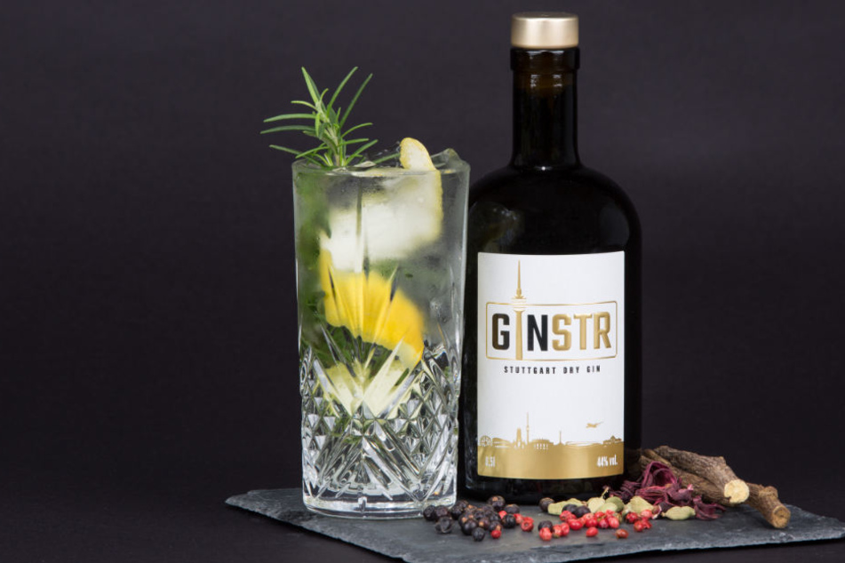 Der "GINSTR" setzte sich gegen die Konkurrenz durch.
