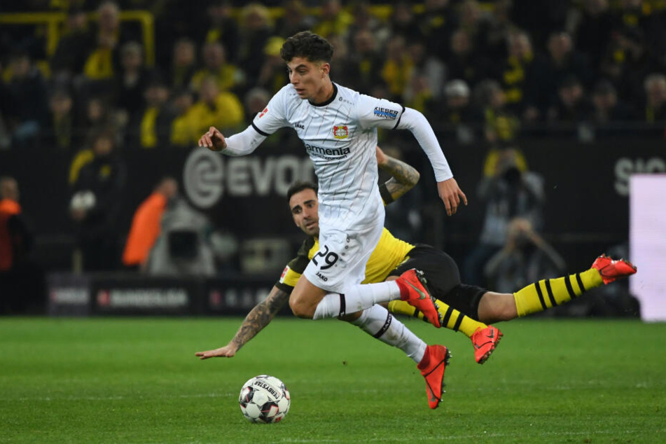 Paco Alcacer von Dortmund und Kai Havertz (r) von Leverkusen im Zweikampf.