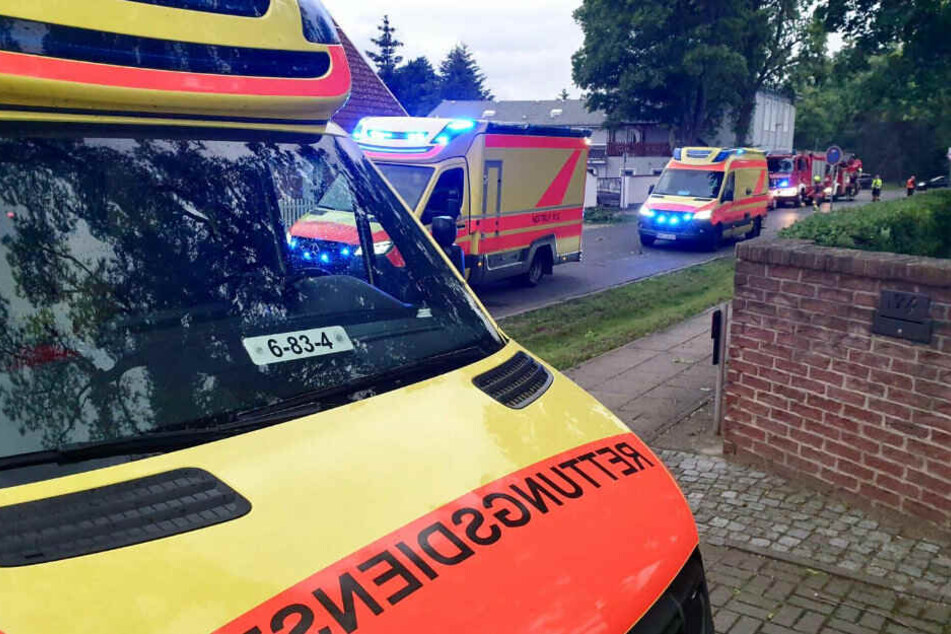 Bei einer Sommerparty der Zeugen Jehovas in Oranienburg wurden 11 Personen durch herabfallende Äste verletzt.