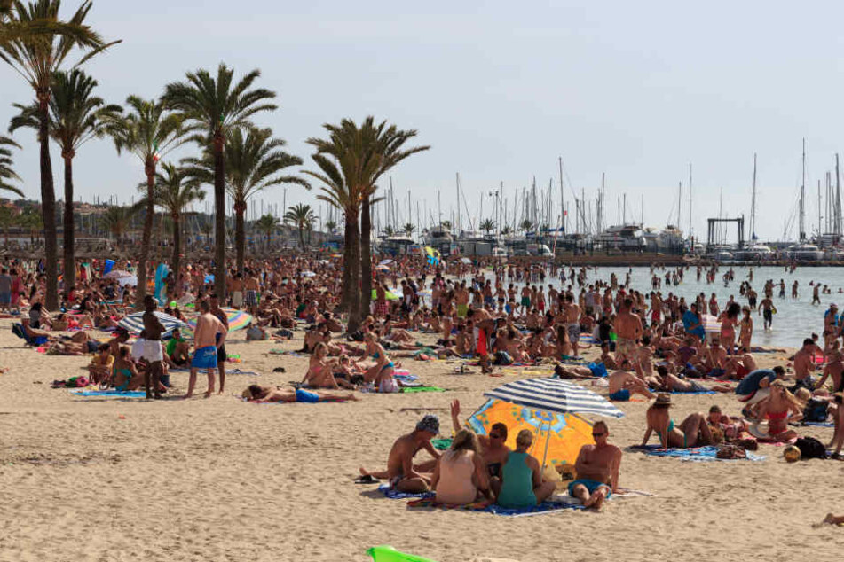 Auf der Urlaubsinsel Mallorca ist es in der Nacht auf Freitag zu einer folgenschweren Schlägerei gekommen. (Symbolbild)