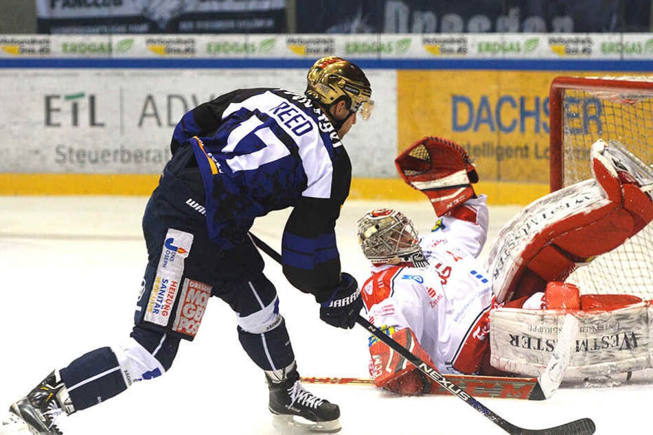 Szene aus der Pre-Play-off-Serie 2016 zwischen Dresden und Crimmitschau: Eislöwe Harrison Reed scheitert an Eispiraten-Goalie Ryan Nie.