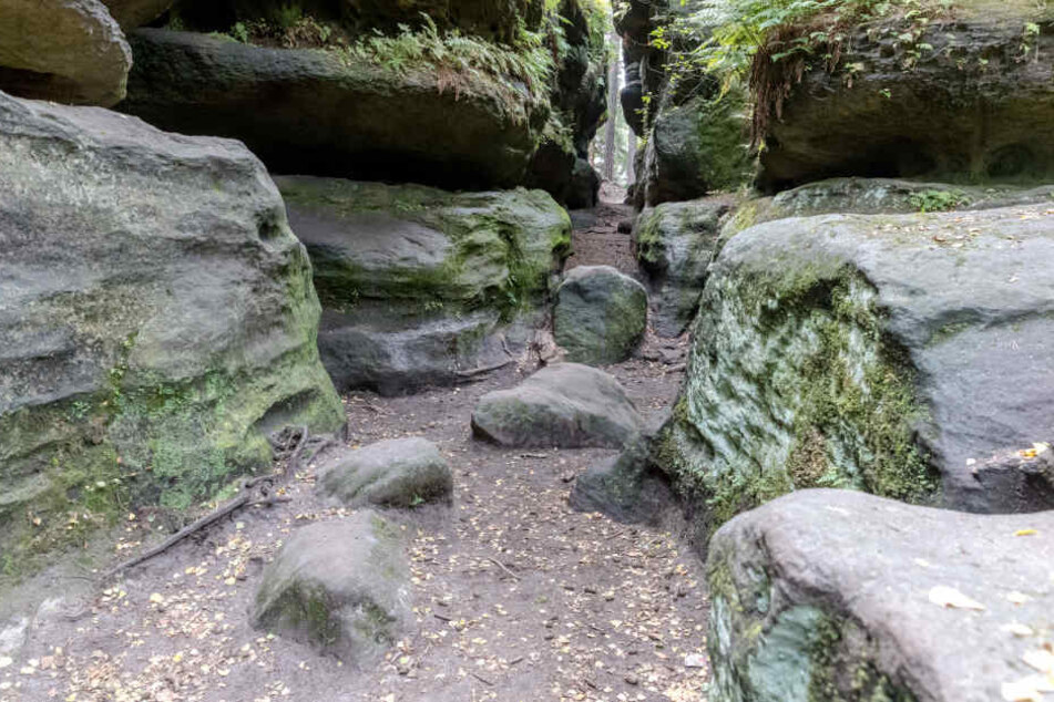 Das Felsenlabyrinth in Langenhennersdorf ist berühmt für seine Schluchten und engen Gänge. Hier verstarb der 73-Jährige.