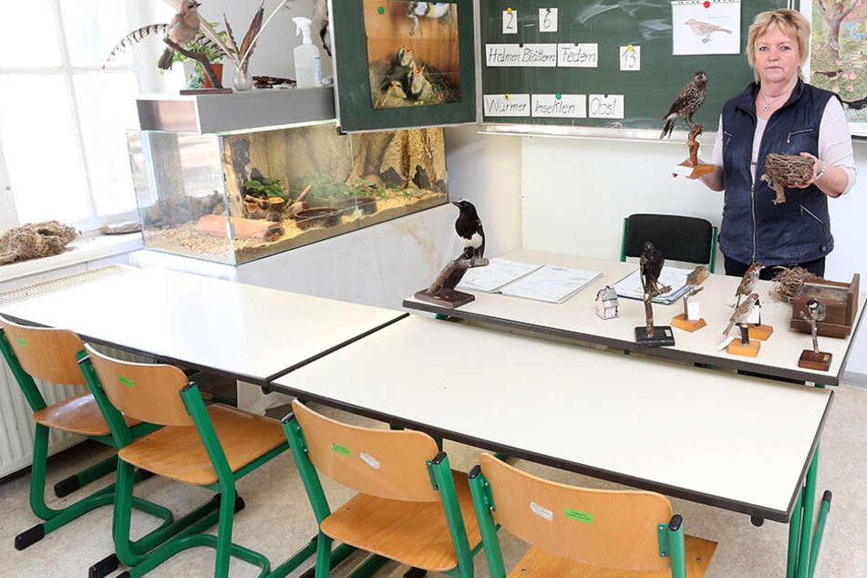 Die Unterrichtsräume der Tierparkschule ziehen um. Doch Lehrer fehlen leider immer noch.