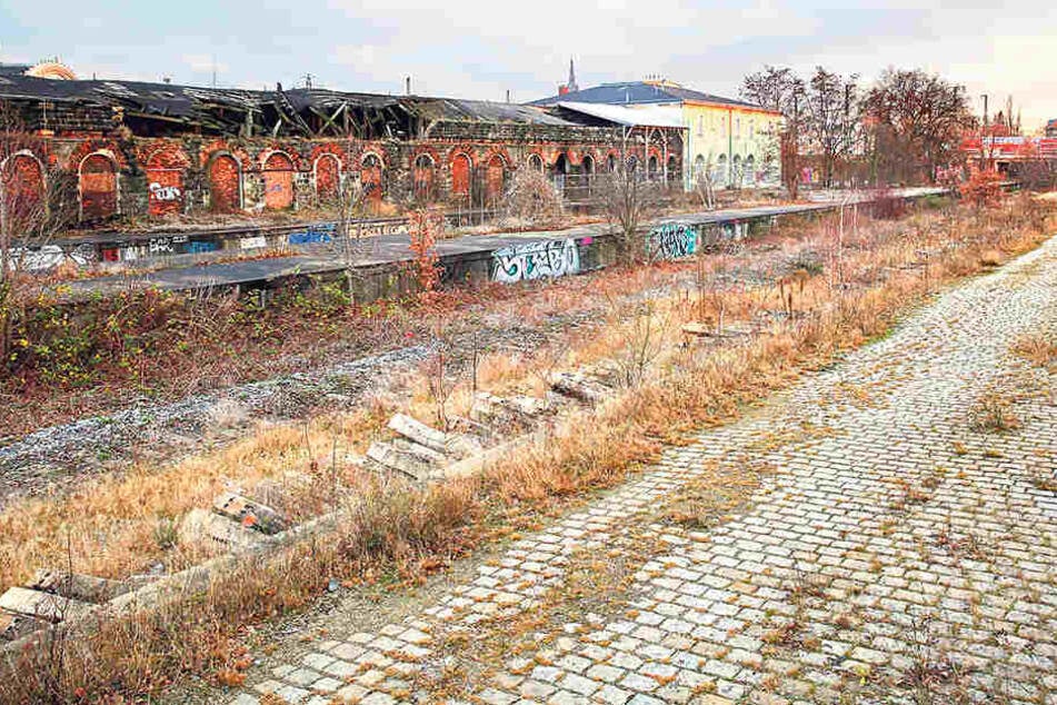 Noch immer will Globus am Alten
Leipziger Bahnhof (F.) in Pieschen bauen.