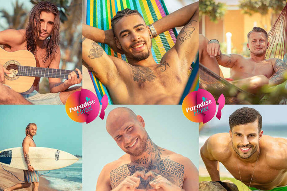 Aktuell ist der Kamenzer (rechts oben) in der RTL-Show "Paradise Hotel" zu sehen.