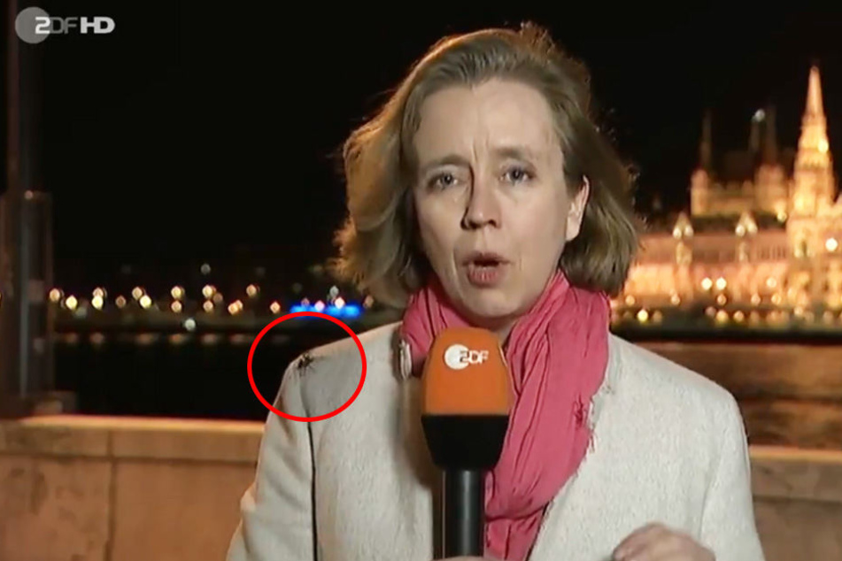 Eine riesige Spinne krabbelt an Hilperts Schulter hoch.