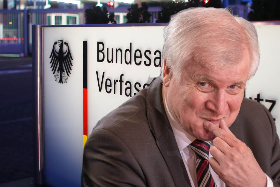 Dass die AfD nun als Prüffall gilt, nannte Seehofer eine "angemessene Reaktion". (Bildcollage)