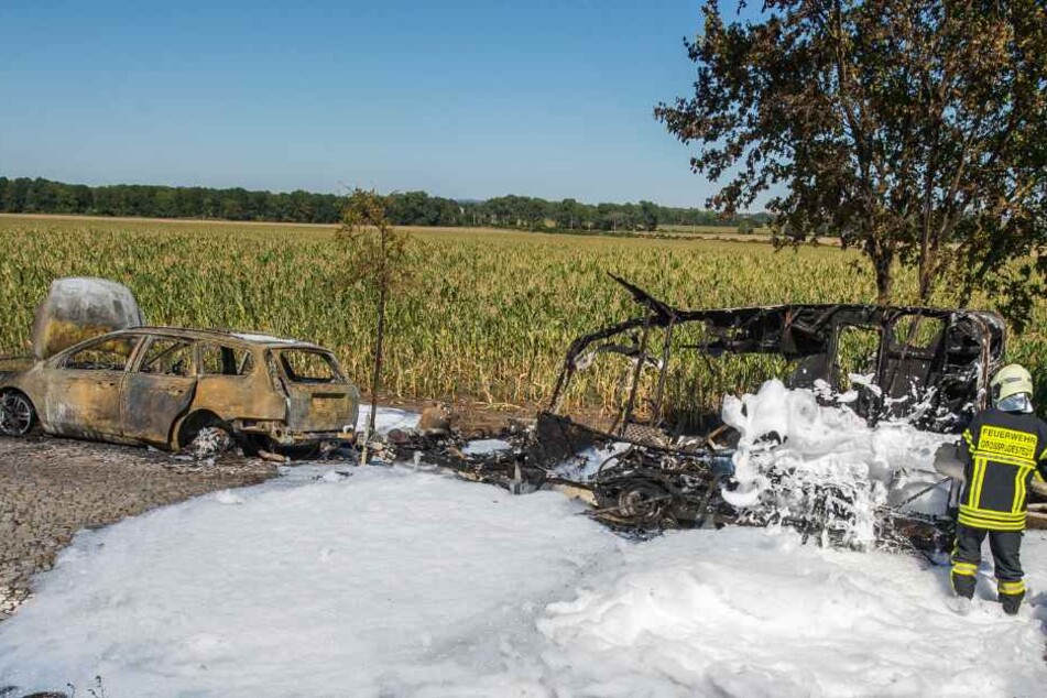 Die Feuerwehr verhinderte, dass das Feuer auf das Maisfeld übergriff.