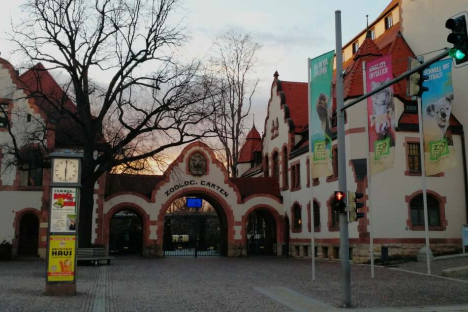 Parchen Uberfallt Rentner Am Zoo Leipzig Und Schlagt Ihm Von