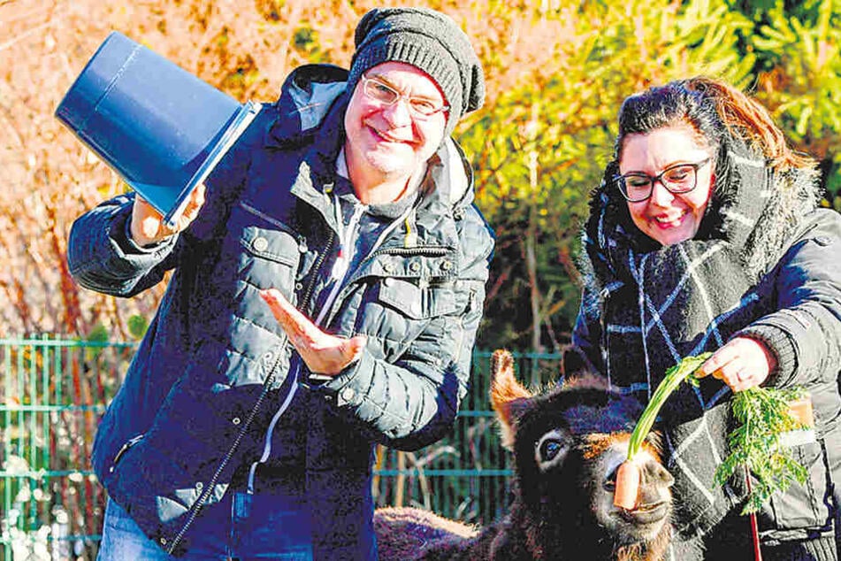 Steffen Lukas (48) und Claudia Switala (30) brachten Paten-Minieseldame Amy ein großen Eimer Möhen vorbei.