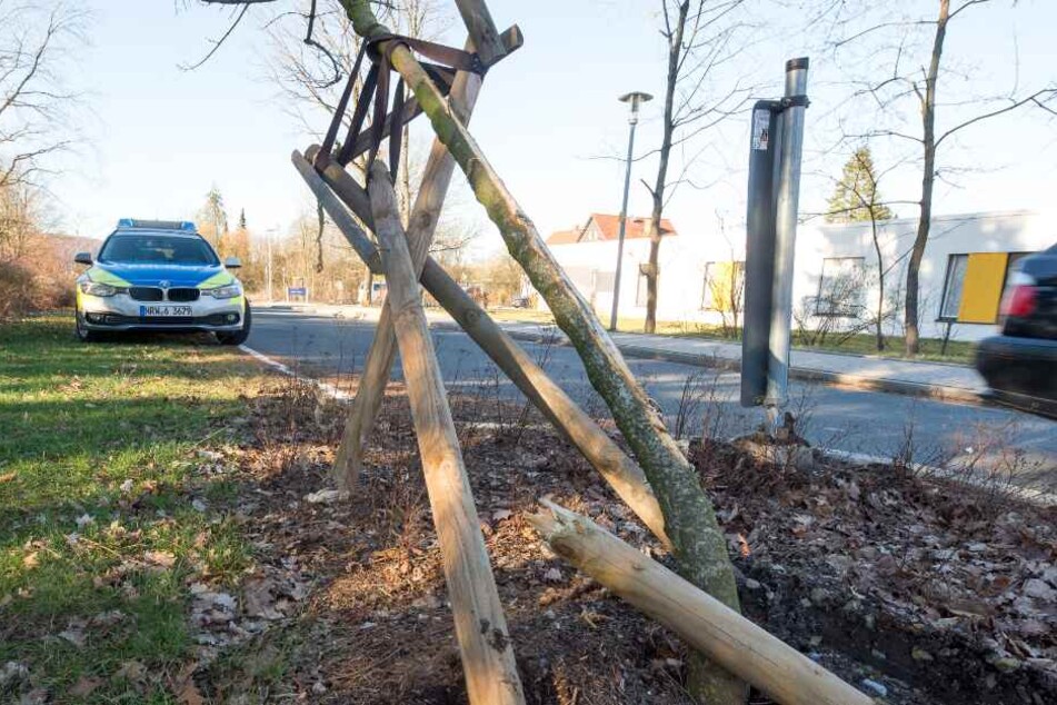 Einen baum fuhr der Fahrgast um, um das Tempo des Busses zu verringern.