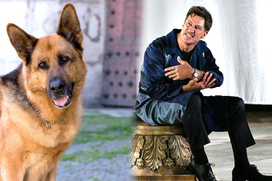 Schauspieler Tobias Moretti (59, rechts) muss künftig kürzer treten.