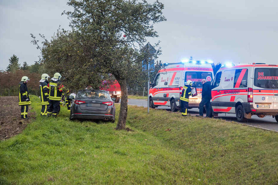 Die Frau krachte frontal in einen Baum.