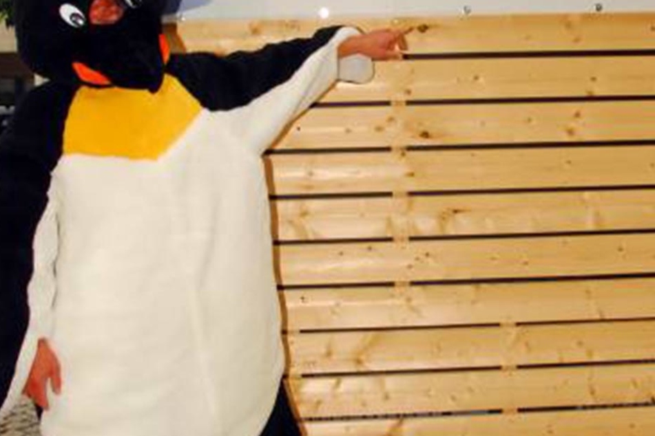 In einem Pinguinkostüm trieb der Ladendieb sein Unwesen.