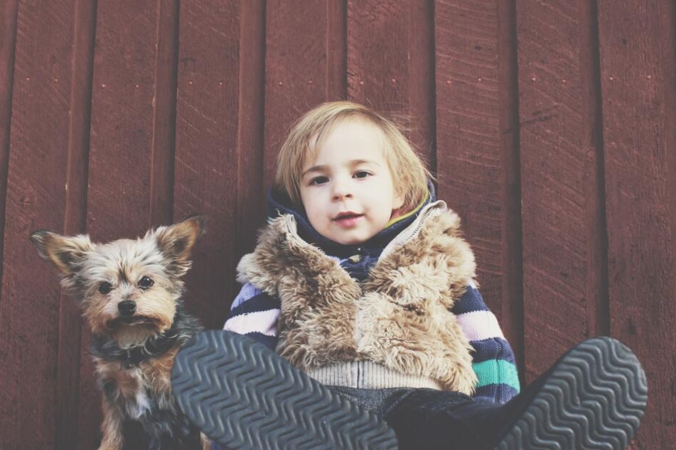 Ticken gleich: Hunde und Menschenkinder.