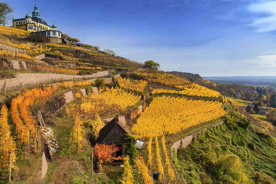 Zeigt sich der Oktober noch einmal von seiner schönen Seite wie hier in Radebeul?