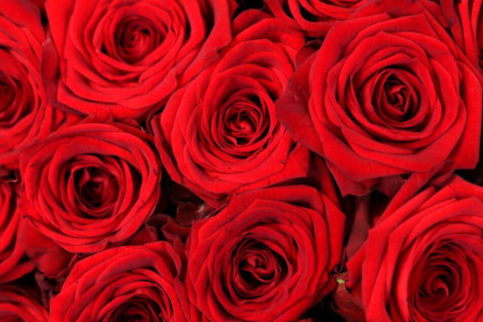 Ein Strauß Blumen sagt mehr als tausend Worte. Doch immer öfter greift der Deutsche zum Billig-Bouquet.