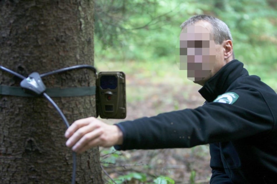 Der vermisste Matthias B. bei seiner Arbeit im Nationalparkverwaltung Sächsische Schweiz