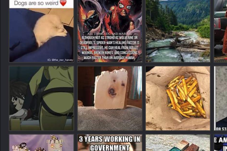 In den Imgur-Charts springt das Stück Holz mit dem Hundegesicht ganz nach oben.