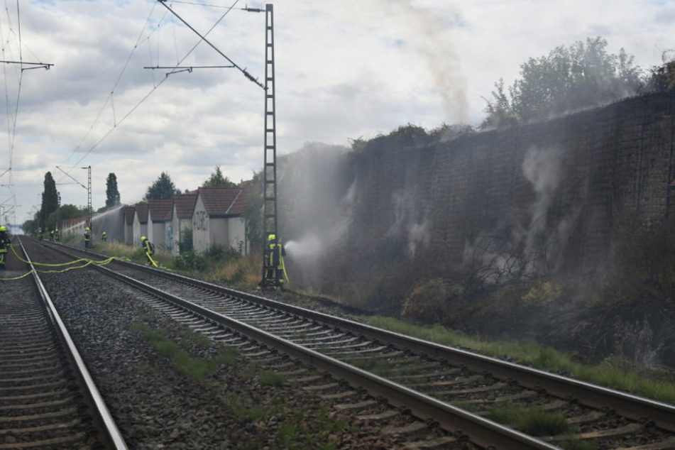 Die trockenen Sträuche an der Schallschutzmauer gerieten in Brand.