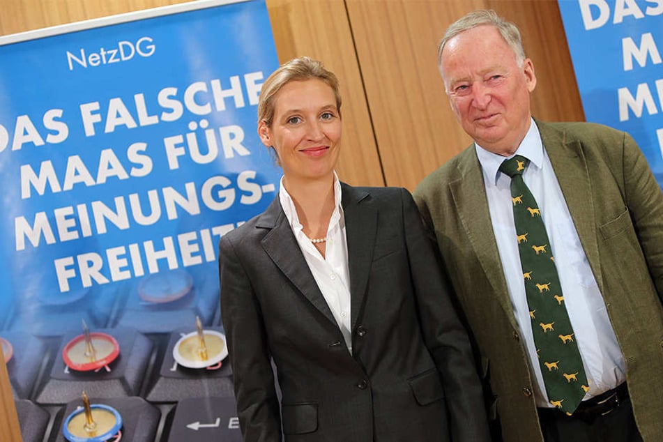 Die Parteispitze (v. li.) Alice Weidl und Alexander Gauland macht gute Miene. An der Veranstaltung werden die AfD-Politiker jedoch nicht teilnehmen.