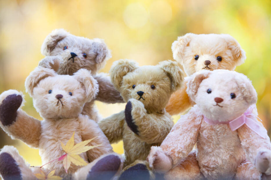 Die Diagonale bei einem Teddy ist länger als die Distanz von Kopf bis Fuß.