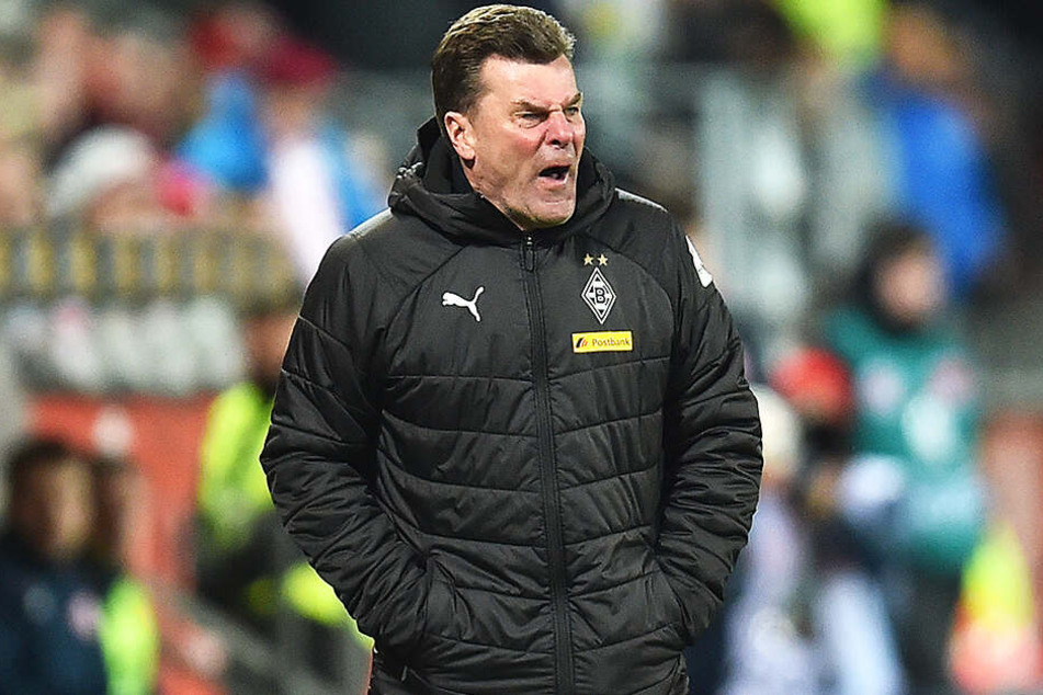 Dieter Hecking soll Schalkes Top-Kandidat bei der Suche nach einem neuen Trainer sein. Der Vertrag des 54-Jährigen läuft bei Gladbach aus und wird nicht verlängert.