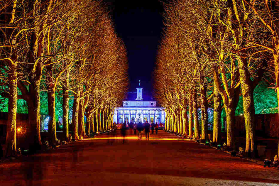 So schön erstrahlt die Promenade im Schlosspark Pillnitz. Am Mittwoch war Generalprobe, heute ist Premiere - 19 Uhr heißt es "Lights on!".
