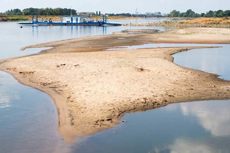 Trockengefallene Sandbänke sind in der Elbe zu sehen. Im Hintergrund hat die Elbfähre "Saalhorn Barby" festgemacht.