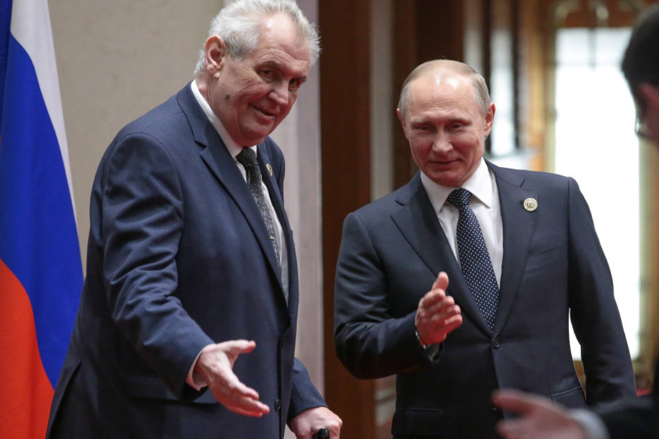 Der tschechische Präsident Milos Zeman mit seinem russischen Kollegen Wladimir Putin in Peking.