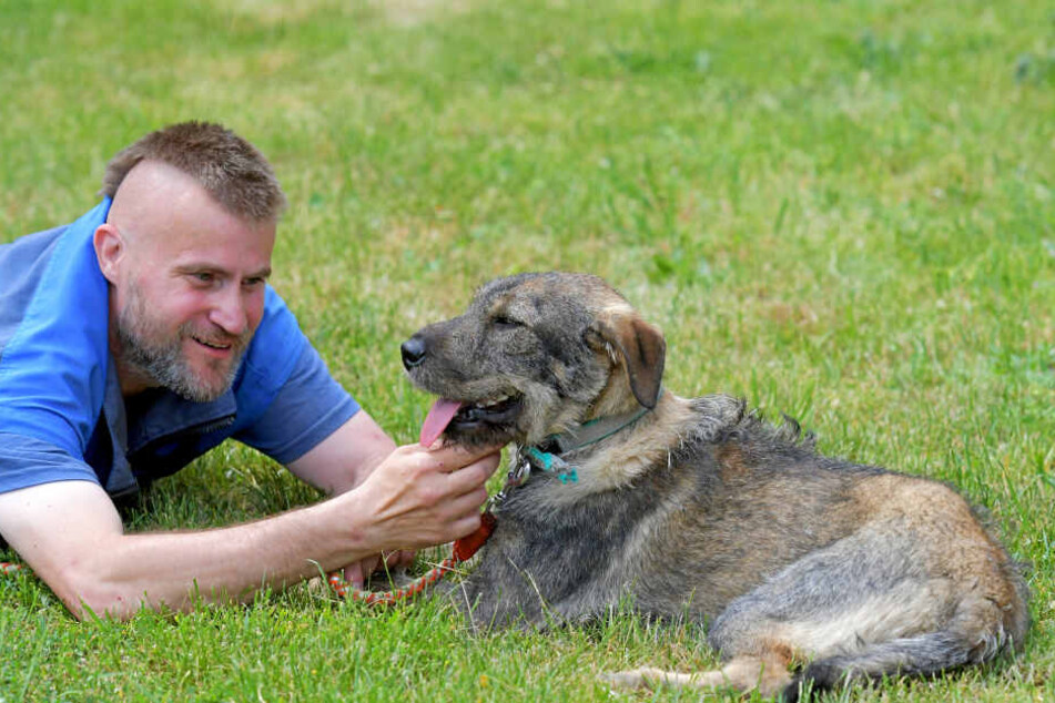 Sie muss man einfach lieb haben: Schnauzer-Mix Nina (7 Monate, hier mit Tierheim-Mitarbeiter Daniel Noatschk, 46).