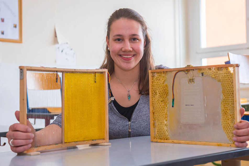 Julia Förster (17) will mit ihren beheizbaren Waben das Bienensterben stoppen.