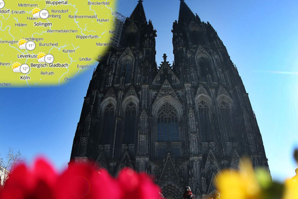 Ab Sonntag wird's in Köln richtig warm. Ob die Sonne scheint, ist noch offen. (Archivbild)