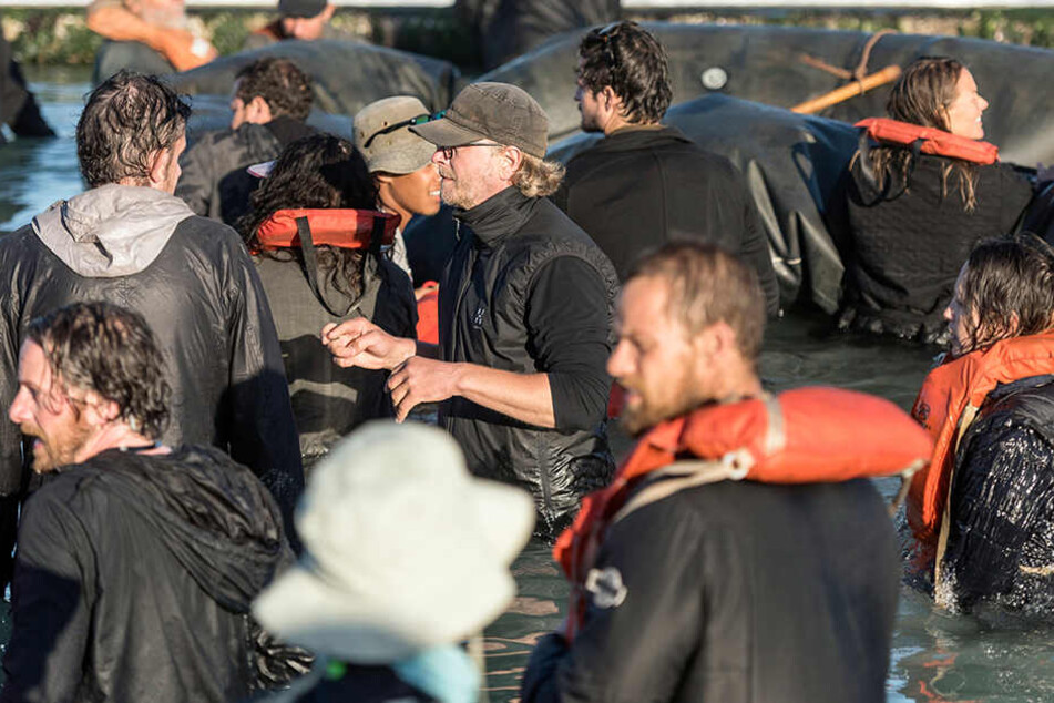 Nur 3,08 Millionen Zuschauer wollten die "deutschen Flüchtlinge" im Öffentlich-Rechtlichen sehen.