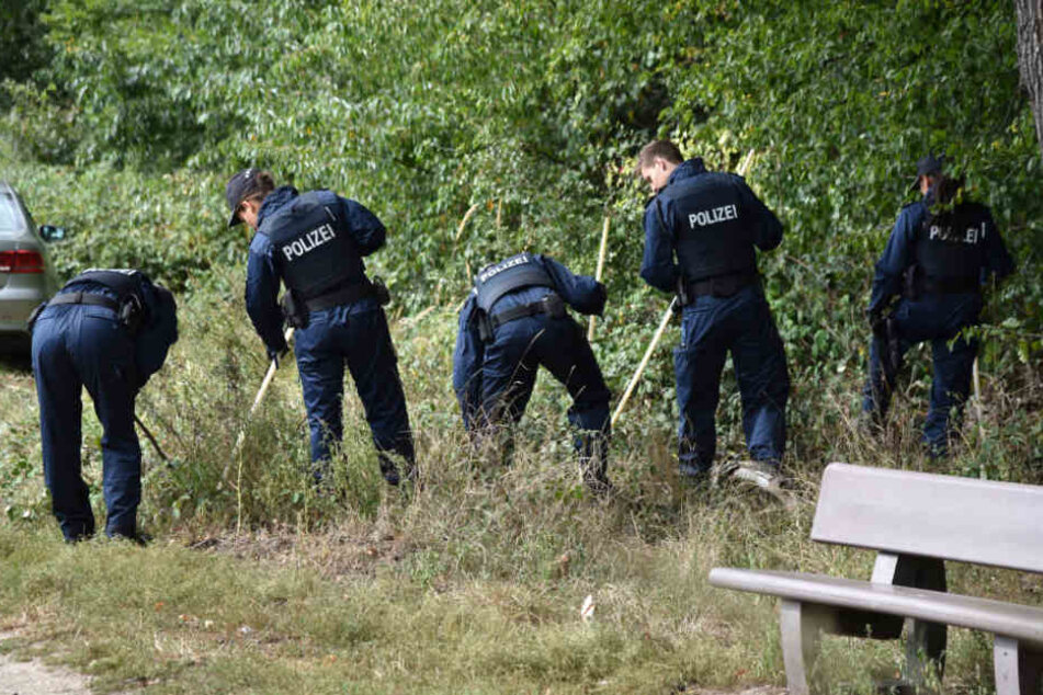 In diesem Waldstück wurden die Knochen von einem Pilzsammler gefunden.