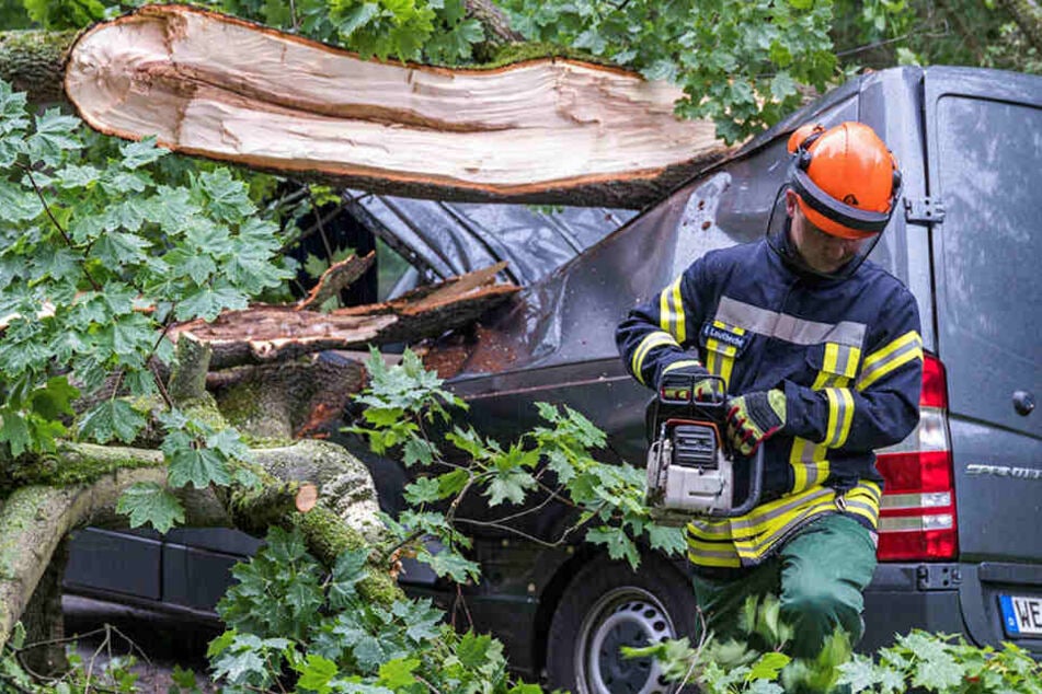 Ein Feuerwehrmann kämpfte sich mit einer Kettensäge zum Wrack des Mercedes durch.