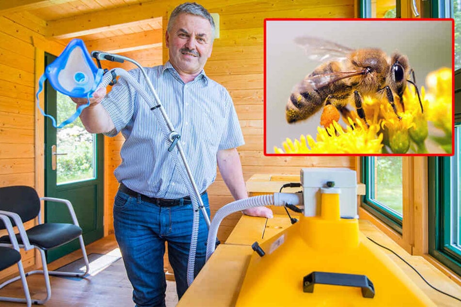 Schlauch, Maske, Heizung, Bienenstock - fertig ist der Inhalator! Jürgen Schmiedgen ist von dessen therapeutischer Wirkung überzeugt. Die Heilkraft kommt von den Bienen (kl.F.).